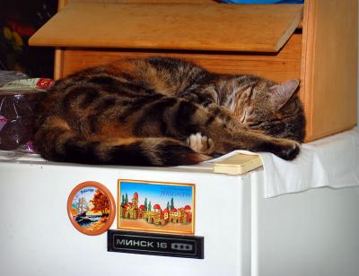 Прикрепленное изображение: 1653r.jpg